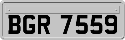 BGR7559