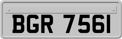 BGR7561