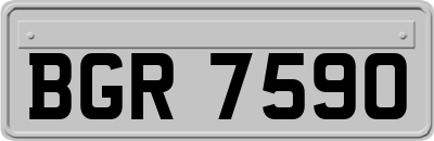BGR7590