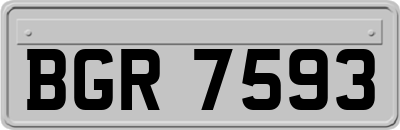 BGR7593