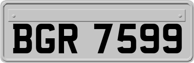 BGR7599