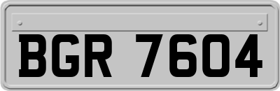 BGR7604
