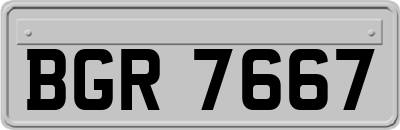 BGR7667