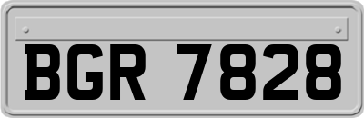 BGR7828