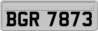 BGR7873
