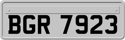 BGR7923