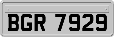 BGR7929