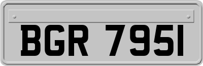 BGR7951