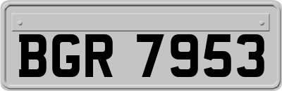 BGR7953