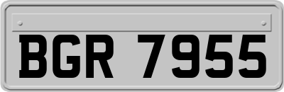 BGR7955