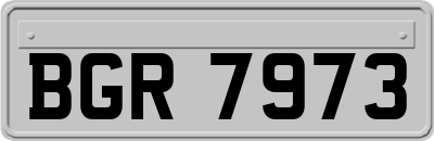 BGR7973