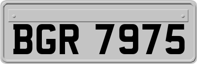 BGR7975