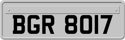 BGR8017