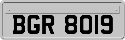 BGR8019