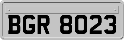 BGR8023