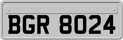BGR8024
