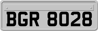 BGR8028