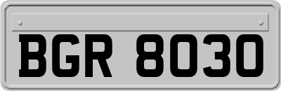 BGR8030