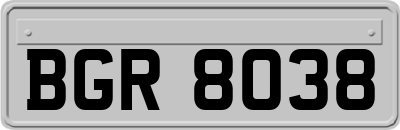 BGR8038