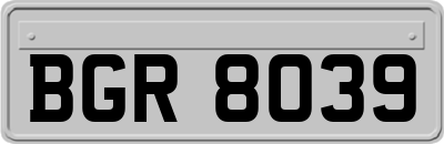 BGR8039