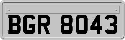 BGR8043