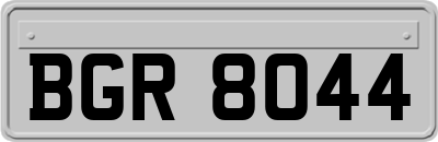 BGR8044