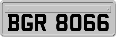 BGR8066
