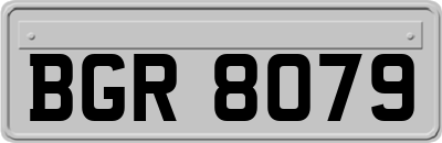 BGR8079