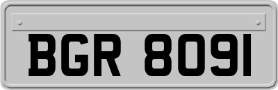 BGR8091