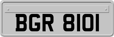 BGR8101