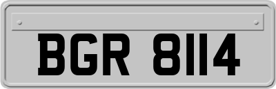 BGR8114