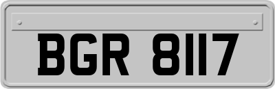 BGR8117