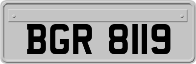 BGR8119