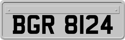 BGR8124