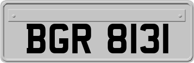 BGR8131