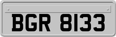 BGR8133