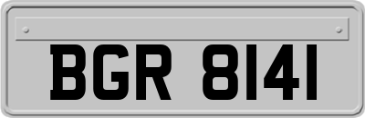 BGR8141