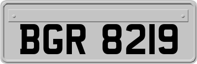 BGR8219