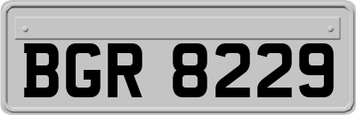 BGR8229