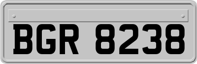 BGR8238