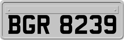 BGR8239