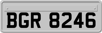 BGR8246