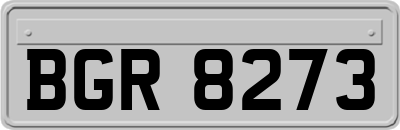 BGR8273