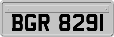 BGR8291