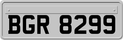 BGR8299
