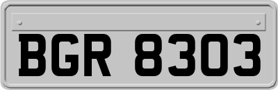 BGR8303