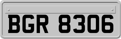 BGR8306