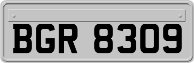 BGR8309
