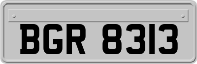 BGR8313
