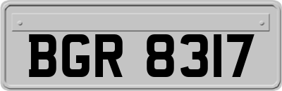BGR8317